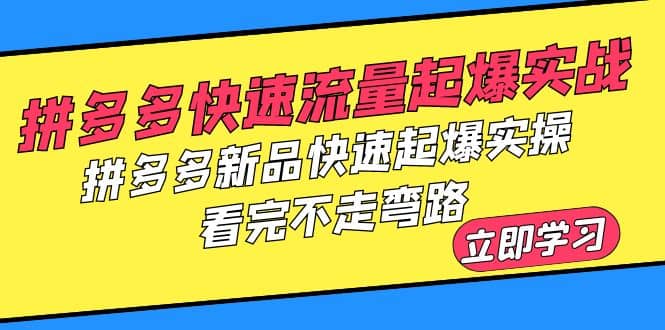 拼多多-快速流量起爆实战，拼多多新品快速起爆实操，看完不走弯路-展望网