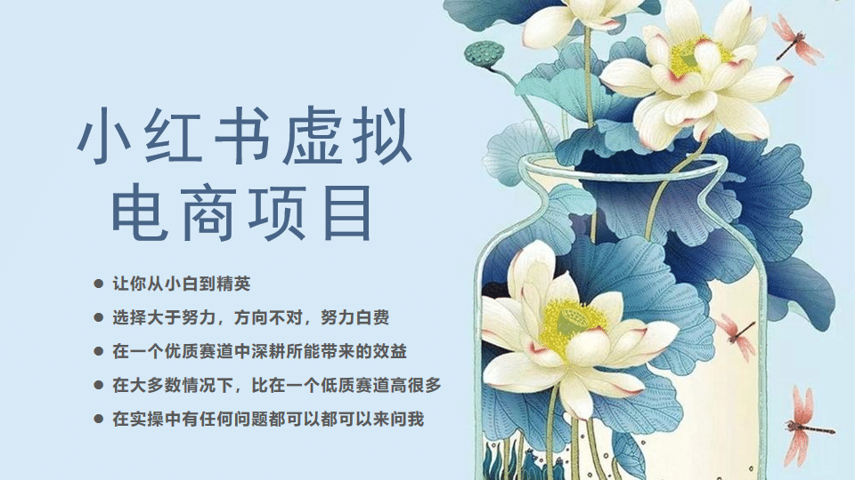小红书虚拟电商从0到1，让你从小白到精英（20节实操课程）-展望网