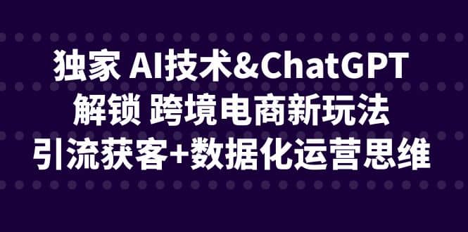 独家 AI技术ChatGPT解锁 跨境电商新玩法，引流获客 数据化运营思维-展望网