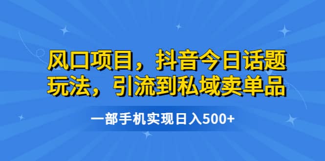风口项目，抖音今日话题玩法，引流到私域卖单品，一部手机实现日入500-展望网