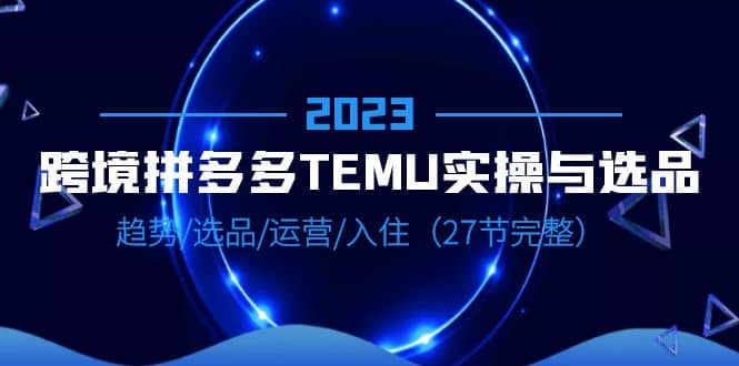 2023跨境·拼多多·TEMU实操与选品,趋势·选品·运营·入住(27节完整)-展望网