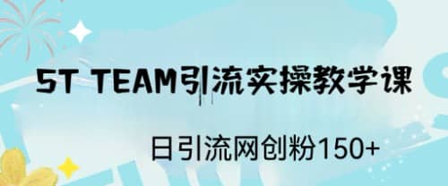 ST TEAM引流实操课,日引流网创粉100-展望网