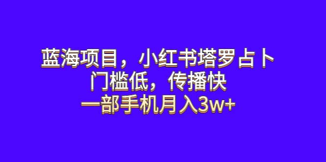 蓝海项目，小红书塔罗占卜，门槛低，传播快，一部手机月入3w-展望网