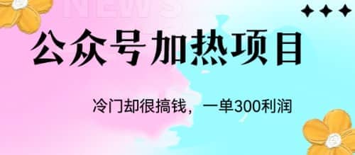 冷门公众号加热项目，一单利润300-展望网