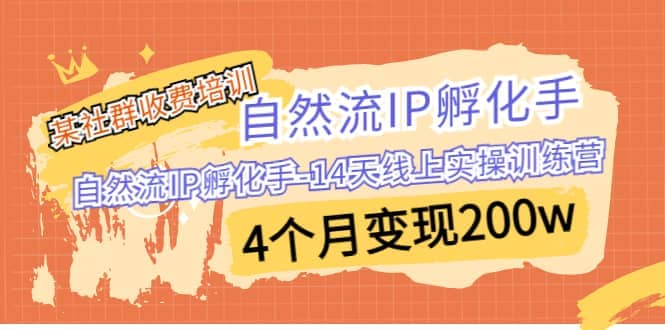某社群收费培训：自然流IP 孵化手-14天线上实操训练营 4个月变现200w-展望网