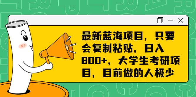 最新蓝海项目，只要会复制粘贴，日入800 ，大学生考研项目，目前做的人极少-展望网