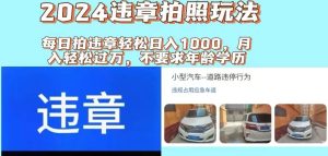 2024违章拍照新玩法，推广躺赚+拍照赚钱双模式，日入1000+-展望网