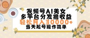视频号AI美女,轻松月入30000+,操作简单轻松上手-展望网