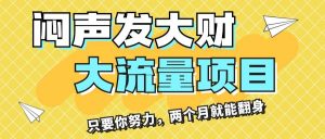 闷声发大财，大流量项目，月收益过3万，只要你努力，两个月就能翻身-展望网