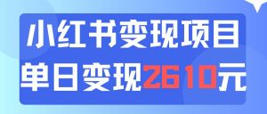 利用小红书卖资料单日引流150人当日变现2610元小白可实操(教程+资料)-展望网