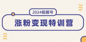 2024视频号-涨粉变现特训营：一站式打造稳定视频号涨粉变现模式（10节）-展望网
