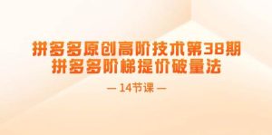 拼多多原创高阶技术第38期，拼多多阶梯提价破量法（14节课）-展望网