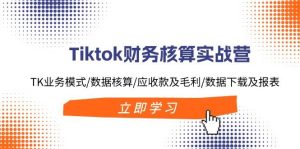 Tiktok财务核算实战营:TK业务模式/数据核算/应收款及毛利/数据下载及报表-展望网