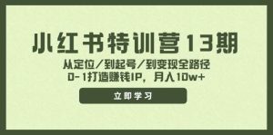 小红书特训营13期，从定位/到起号/到变现全路径，0-1打造赚钱IP，月入10w+-展望网