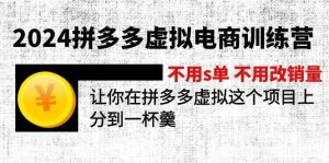 2024拼多多虚拟电商训练营 不s单 不改销量  做虚拟项目分一杯羹(更新10节)-展望网