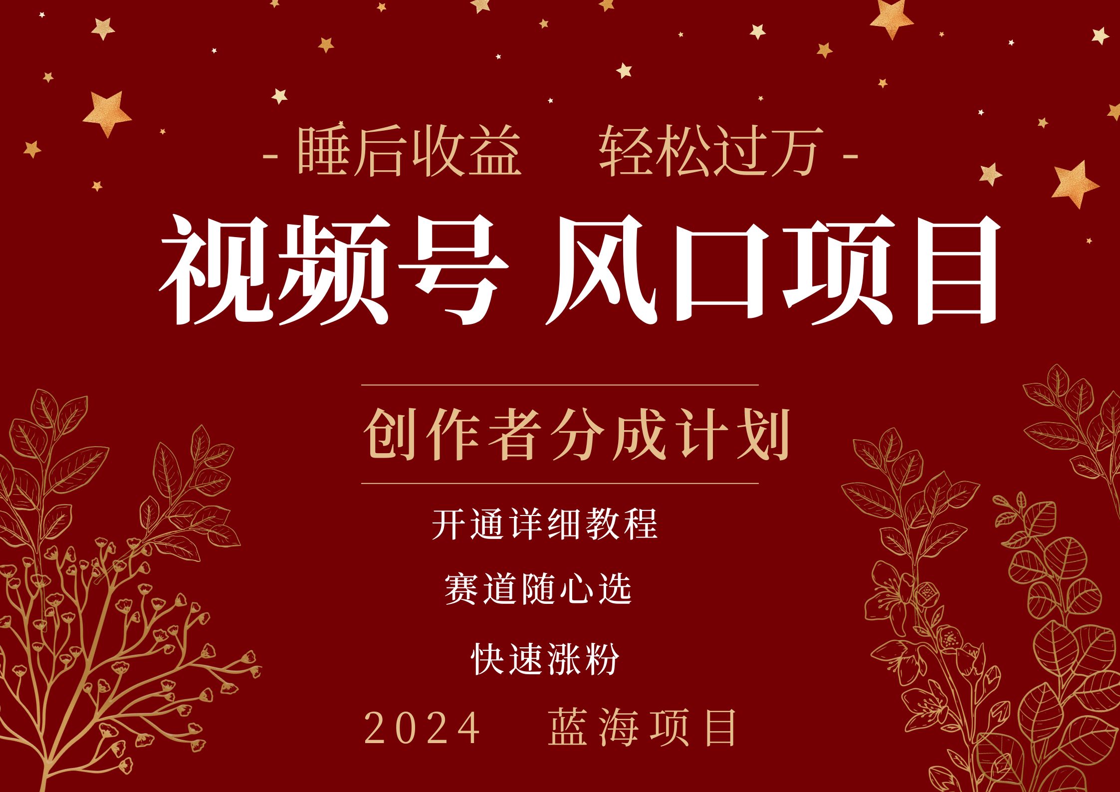 拥有睡眠收益的微信视频号大风口项目,轻松月入过万+,多赛道选择,可矩阵,玩法简单轻松上手-展望网