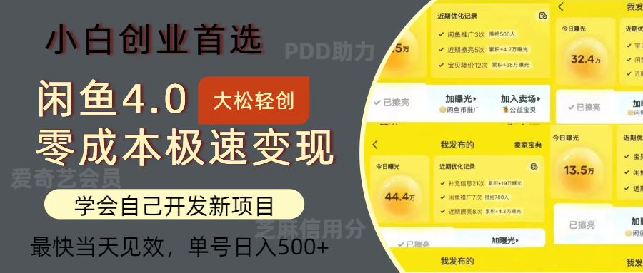 闲鱼0成本极速变现项目，多种变现方式，单号日入500+最新玩法-展望网