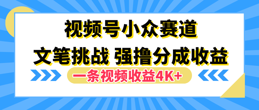 视频号小众赛道，文笔挑战，一条视频收益4K+-展望网