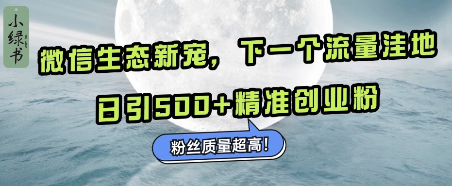 微信生态新宠小绿书:下一个流量洼地,粉丝质量超高,日引500+精准创业粉,-展望网