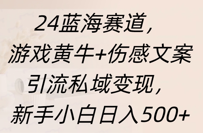 24蓝海赛道，游戏黄牛+伤感文案引流私域变现，新手日入500+-展望网