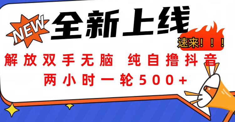 解放双手无脑 纯自撸抖音 两小时一轮500+-展望网