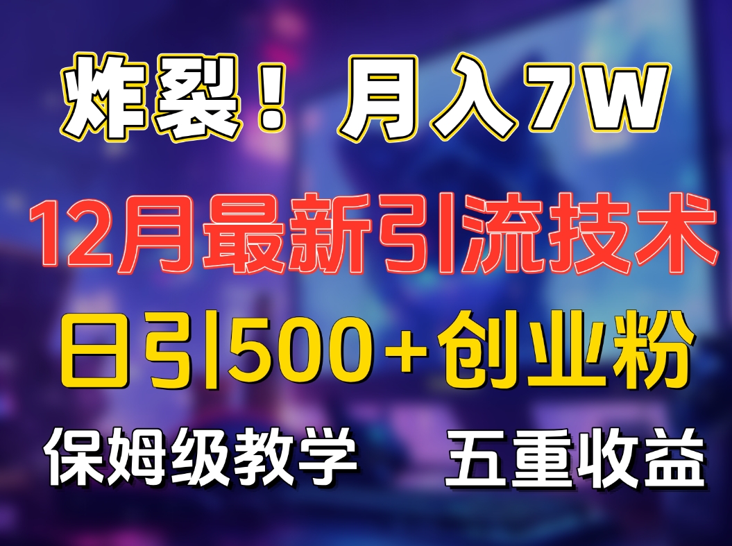 炸裂！月入7W+揭秘12月最新日引流500+精准创业粉，多重收益保姆级教学-展望网