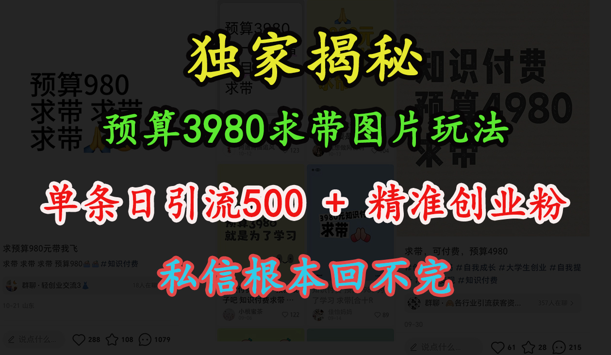 “小红书”预算3980求带 图片玩法，单条日引流500+精准创业粉，私信根本回不完-展望网