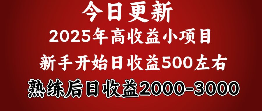 2025开年好项目，新手日收益500+ 熟练掌握后，日收益平均2000多-展望网