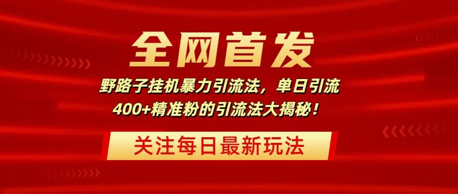 全网首发，野路子挂机暴力引流法，单日引流400+精准粉的引流法大揭秘！-展望网