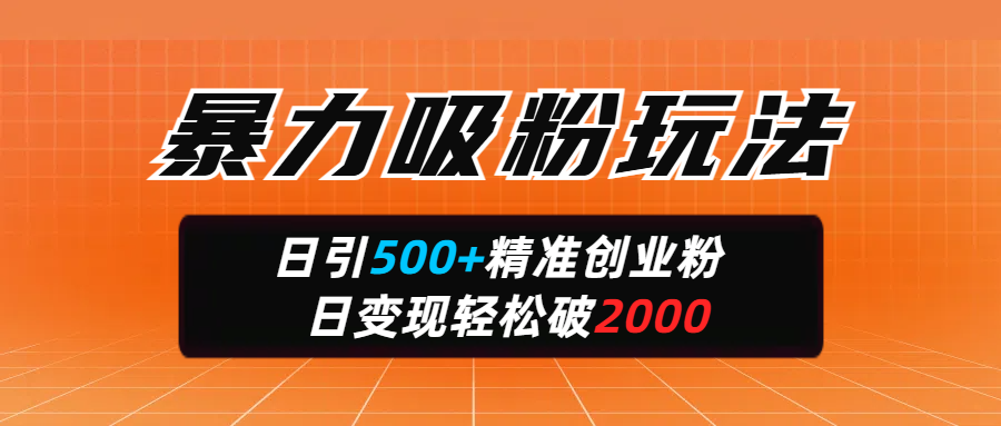 暴力吸粉玩法,日引500+精准创业粉,日变现轻松破2000-展望网