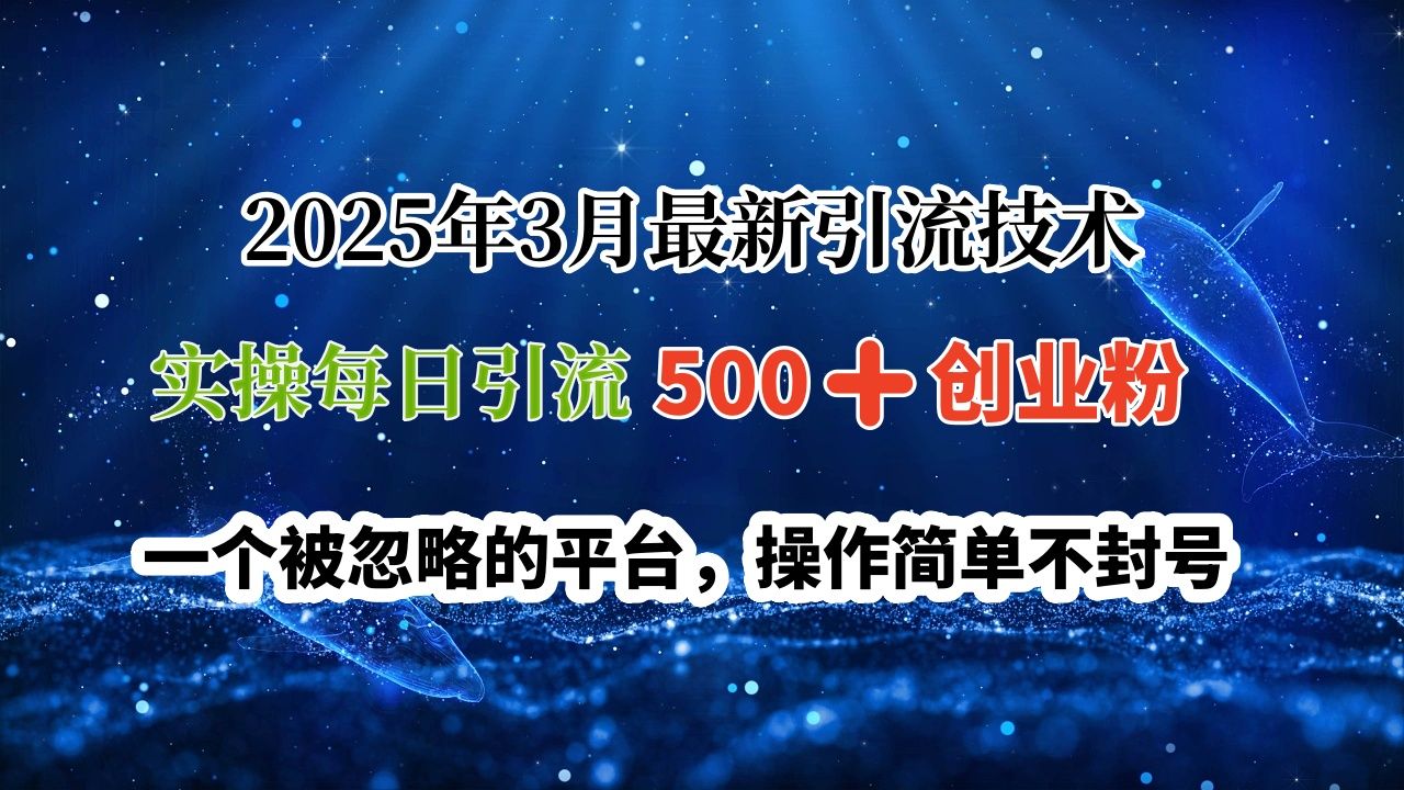 2025年3月最新引流技术，实操每日引流500➕创业粉，一个被忽略的平台，操作简单不封号-展望网