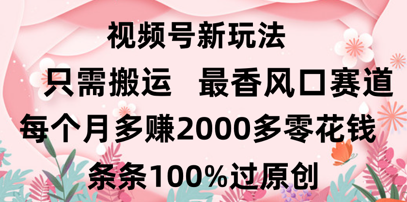 日入2000+，条条100%过原创，视频号最香风口赛道，小白轻松上手-展望网