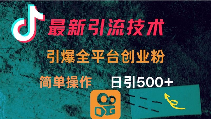 最新引流方法，引爆全平台创业粉操作简单，日引300＋-展望网