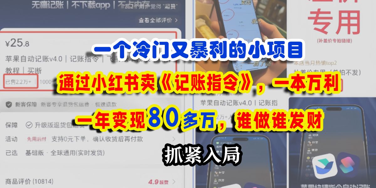 一个冷门又暴利的小项目，通过小红书卖《记账指令》，一本万利，一年变现80多万，谁做谁发财-展望网