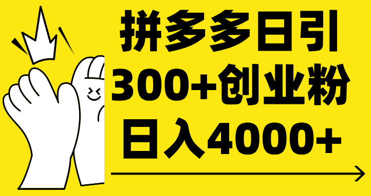 拼多多日引300+创业粉 日入4000+-展望网