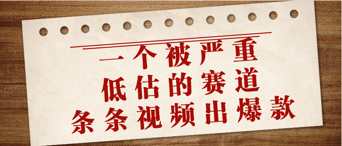 一个被严重低估的赛道,条条视频出爆款,一个月变现3万+-展望网