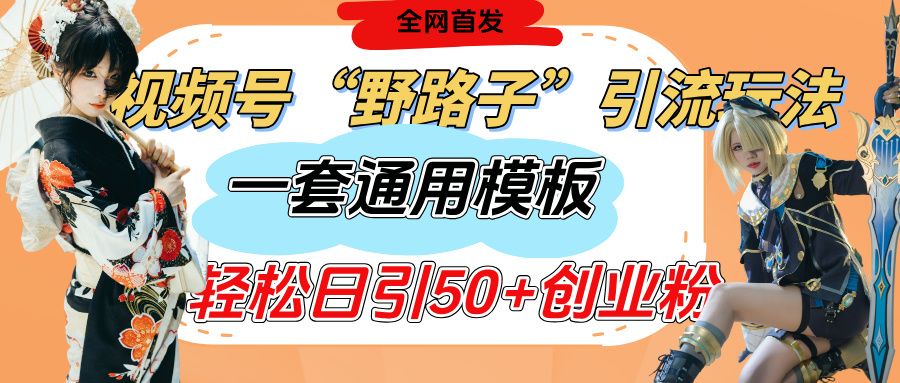视频号“野路子”玩法，评论区疯狂截流，一套模板单日单号引流50+创业粉-展望网