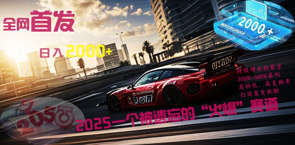 全网首发：2025一个被遗忘的“火爆”赛道轻松日入2000+-展望网