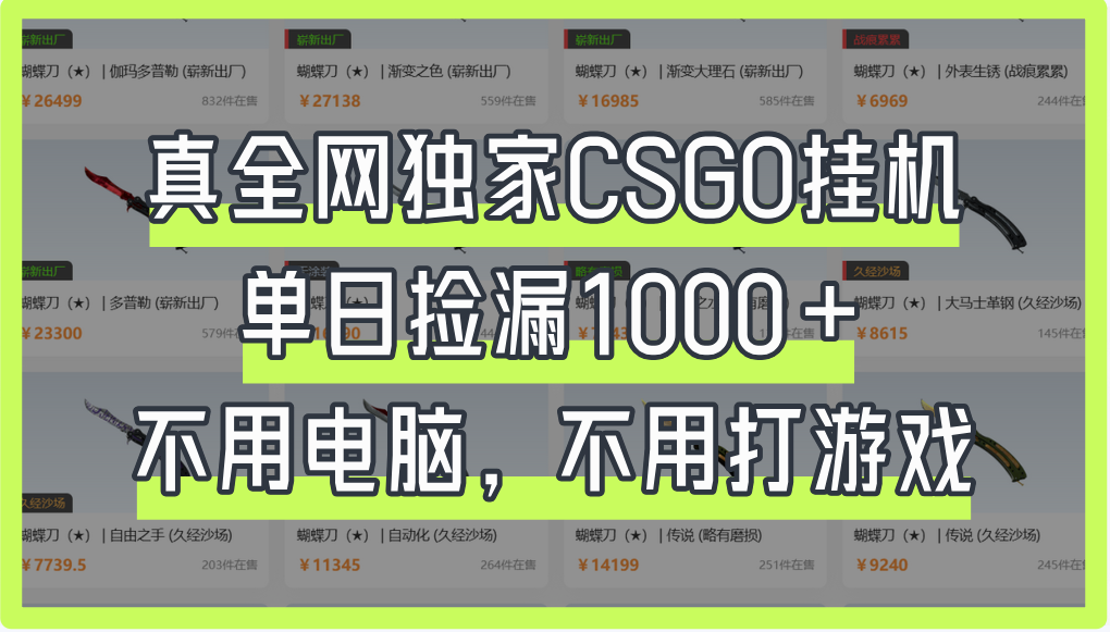真全网独家CSGO挂机，单日捡漏1000+-展望网
