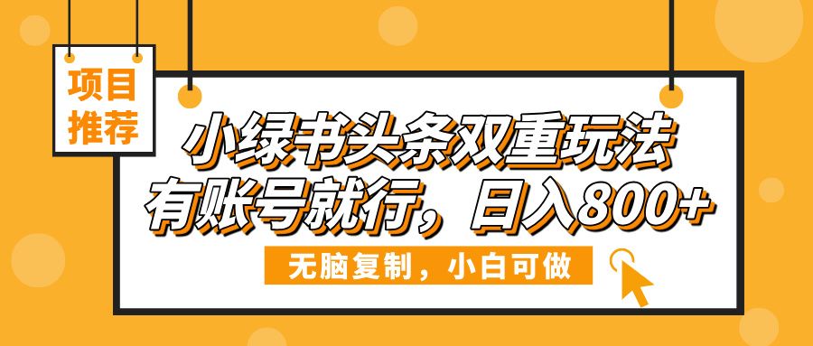 小绿书头条双重玩法，有账号就行，日入800+-展望网