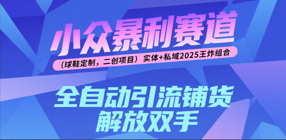 楠—小众暴利赛道(球鞋定制,二创项目)实体+私域2025王炸组合-展望网