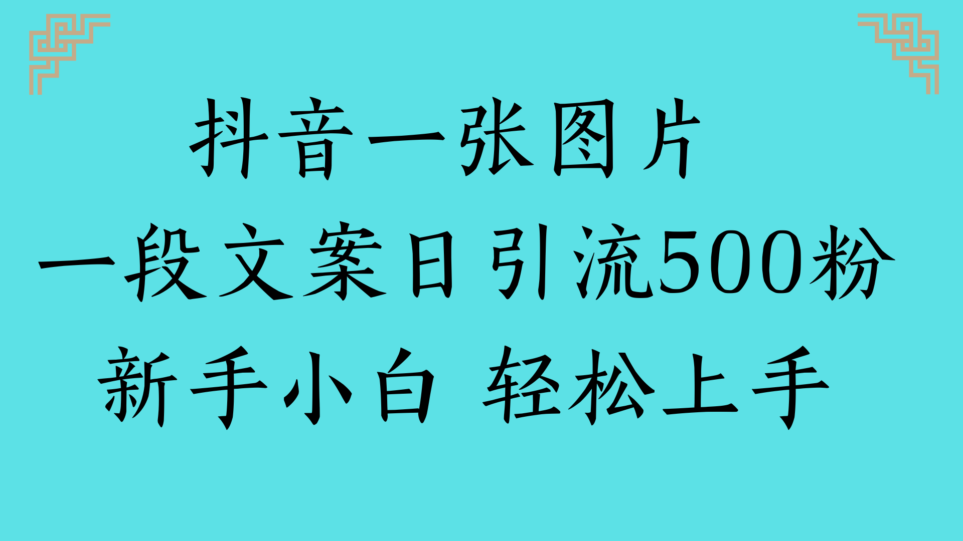 抖音一张图片 一段文案日引流500粉新手小白 轻松上手-展望网