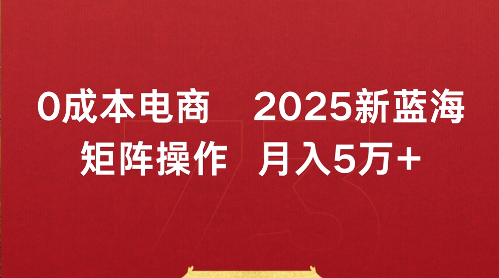 0成本电商2025新蓝海矩阵操作 月入5万+-展望网