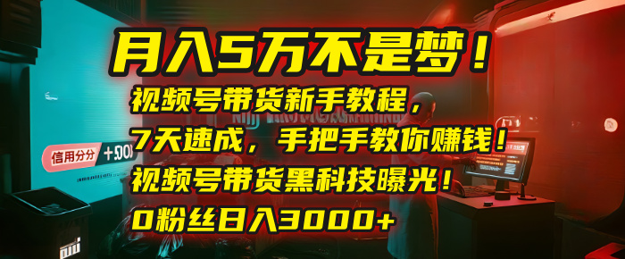 月入5万不是梦!视频号带货新手教程,7天速成,手把手教你赚钱!视频号带货黑科技曝光!0粉丝日入3000+-展望网