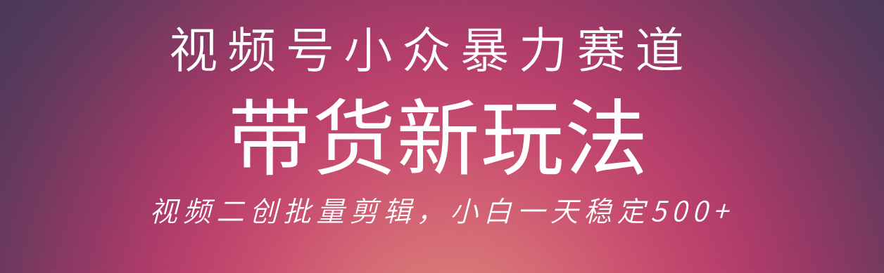视频号小众暴力赛道，最新带货玩法 小白也能轻松日入500+ 保姆及教程-展望网