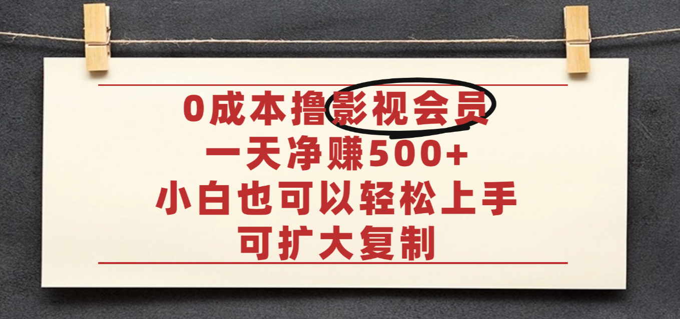 亲测，0成本可批量操作，靠卖影视会员实测月入30000+-展望网