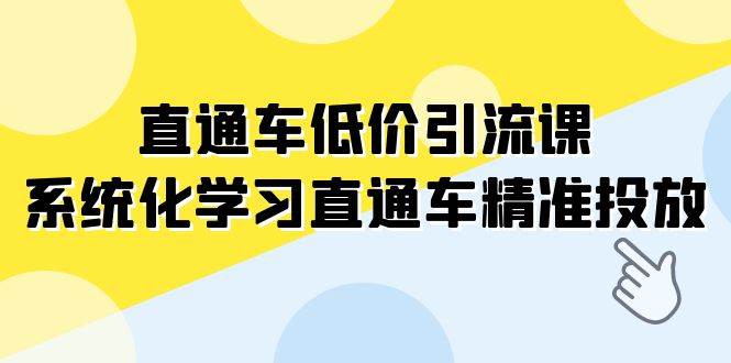 直通车-低价引流课，系统化学习直通车精准投放（14节课）-展望网