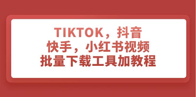 TIKTOK，抖音，快手，小红书视频批量下载工具加教程-展望网