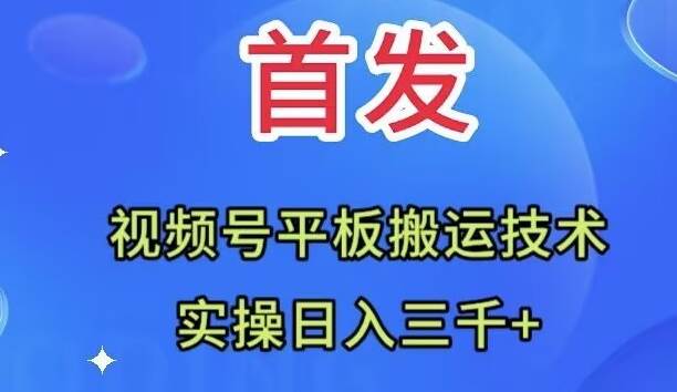 全网首发：视频号平板搬运技术，实操日入三千＋-展望网