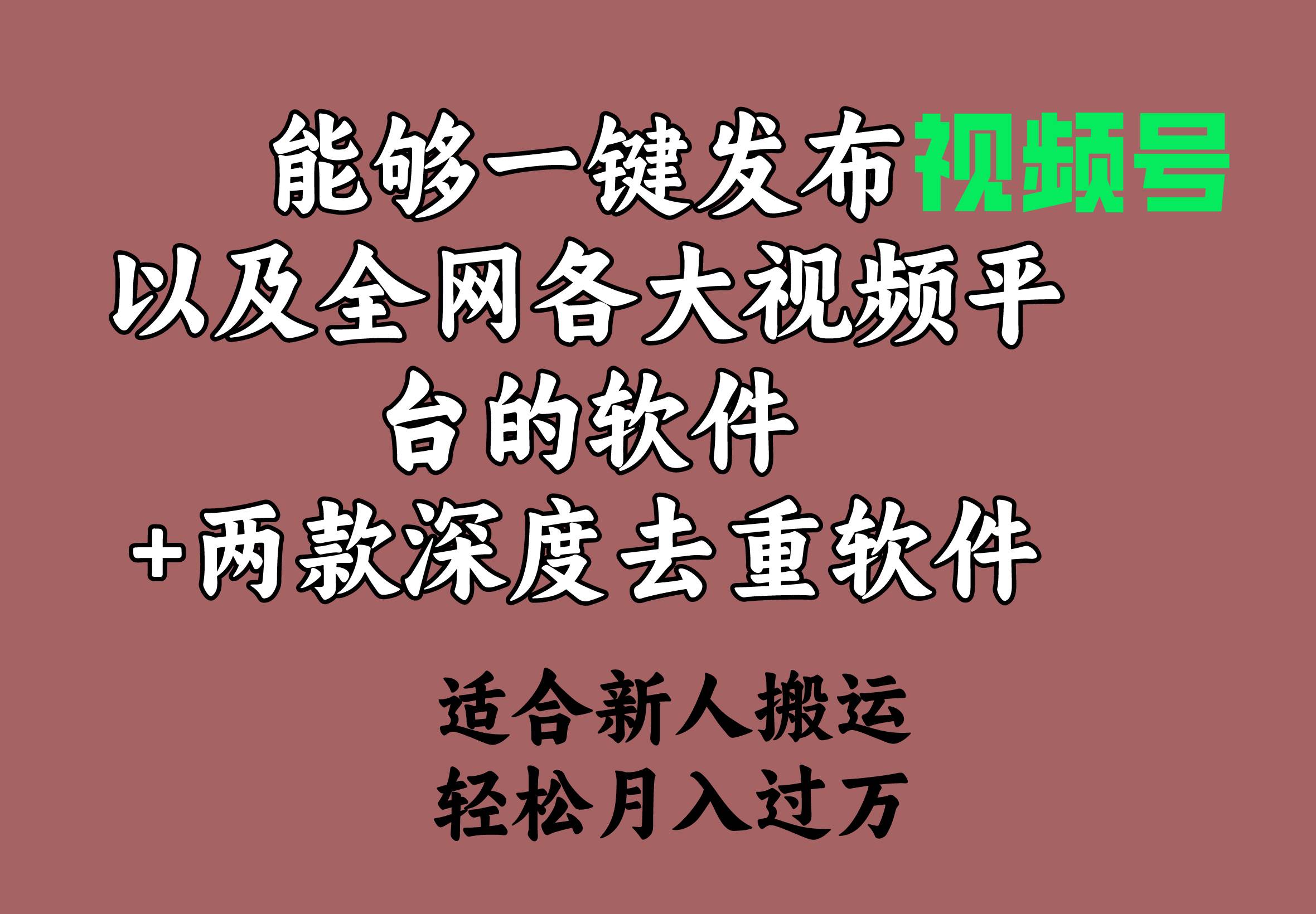 能够一键发布视频号以及全网各大视频平台的软件+两款深度去重软件 适合...-展望网